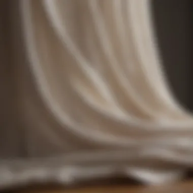 Close-up of sheer fabric showcasing texture and light-filtering properties.