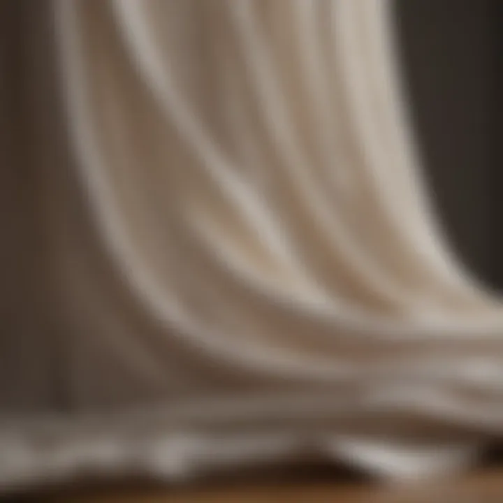 Close-up of sheer fabric showcasing texture and light-filtering properties.