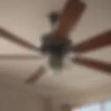 Dust particles accumulated on ceiling fan blades