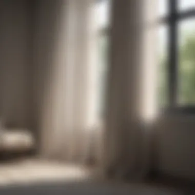 Sheer Curtains: Embracing Light and Minimalism Sheer curtains allowing natural light in a minimalist space