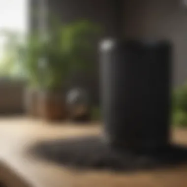 Activated Carbon Filter Benefits Activated carbon filter showcasing odor removal capability