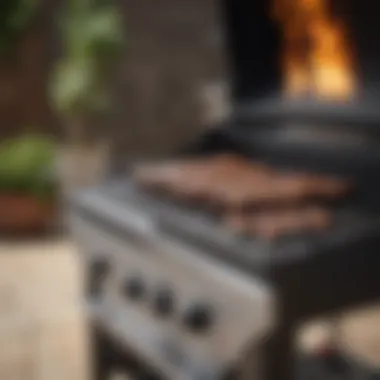 Modern Electric Barbeque Grill An electric grill with modern design features and easy controls