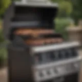 A high-quality gas barbeque grill with multiple burners