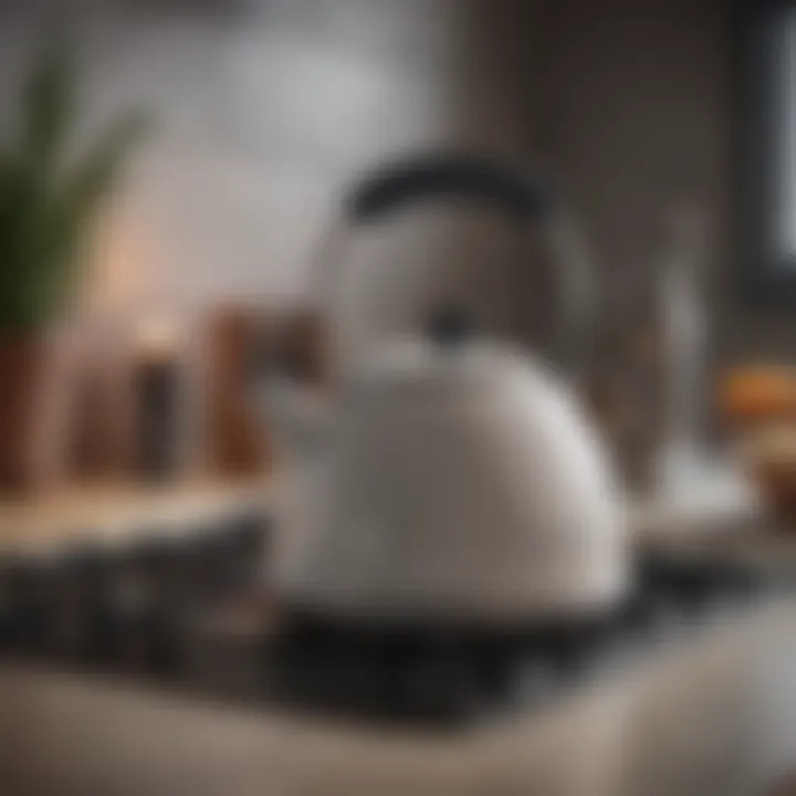 Elegant tea kettle on a ceramic cooktop