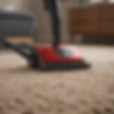 Best Vacuum for Allergies High-performance vacuum cleaner designed for allergy sufferers
