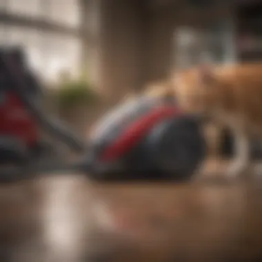 Maintenance tips displayed next to the Bissell Pet Hair Vacuum Cleaner