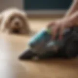 Bissell Pet Hair Vacuum Cleaner showcasing advanced suction technology