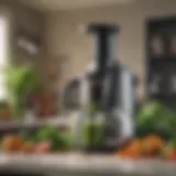 A Breville juicer extracting green juice with leafy vegetables