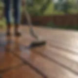 Eco-friendly deck cleaner options