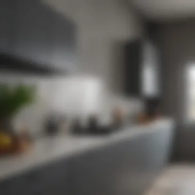 Harmonious Light Gray Walls with Dark Gray Cabinets Light gray walls harmonizing with darker gray cabinets