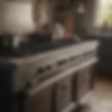 Preventative care measures illustrated beside a well-maintained stove grill