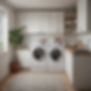 Efficient Washer-Dryer Combo for Small Spaces Space-saving washer-dryer combo in a minimalistic laundry area