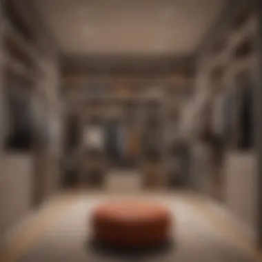 Personalized Closet Design for Individual Needs Customized closet design tailored to personal style