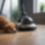 Powerful suction technology for pet hair removal