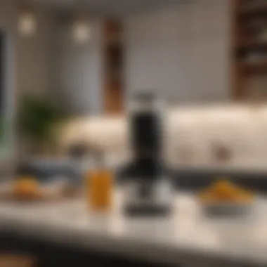 Elegant Design of Bliss Blender Elegant design of the Bliss Blender showcased in a stylish kitchen