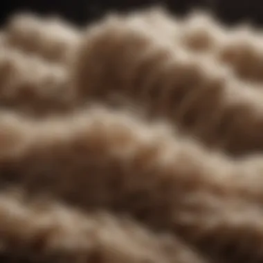 Close-up of wool fibers illustrating their natural resilience and beauty.