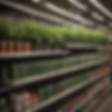 Chemical herbicides lined up on a shelf in a garden store