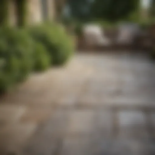Beautifully maintained flagstone patio with lush greenery