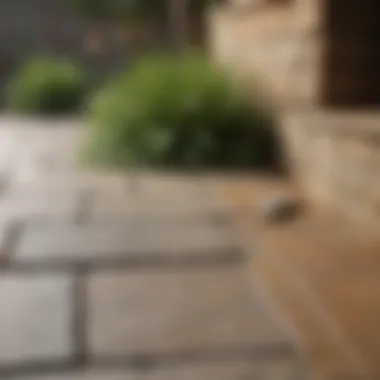 Tools and products for effective flagstone care
