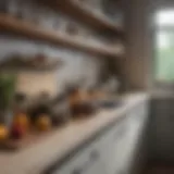 Organized kitchen counter with elegant storage solutions