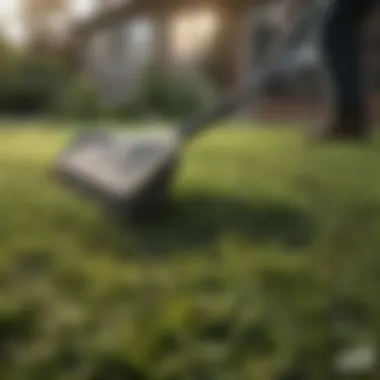 Freshly raked grass clippings scattered on the lawn