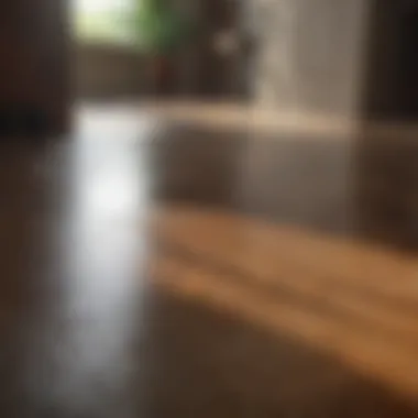 Before Cleaning with Dawn and Vinegar Floor surface before cleaning with Dawn and vinegar solution