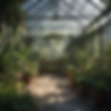 Incorporating Sustainability into Greenhouse Practices Sustainable practices applied in greenhouse gardening
