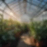 Thermal insulation material used in greenhouses