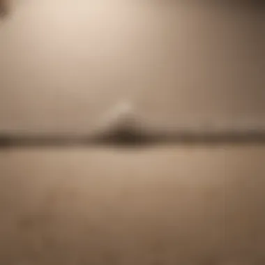 Transformation of Carpet Stain Removal Before and after of a carpet stain removal
