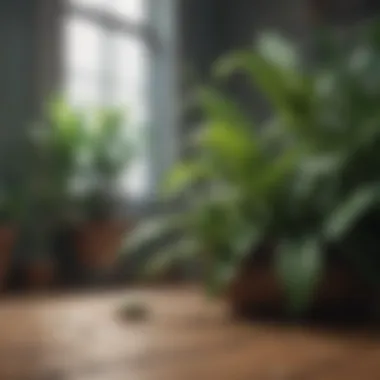 Identifying Indoor Plant Pests Common indoor plant pests on leaves