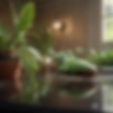 Natural Pest Control Options Natural remedies for pest control