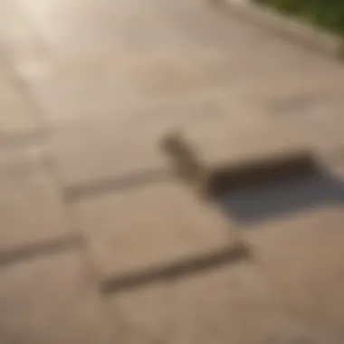 Close-up of a paver joint filled with sand, preventing weed infiltration