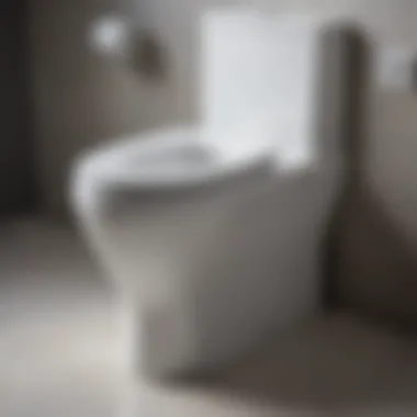 Pristine Toilet Bowl After Cleaning Clean toilet bowl without stains