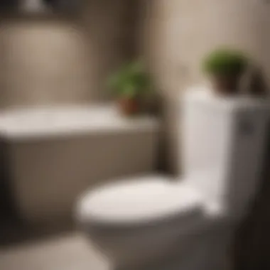 Natural Remedies for Toilet Bowl Cleaning Natural cleaning ingredients for toilet bowl stains