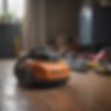 Using Household Tools for Flea Elimination Vacuum cleaner as a tool for flea removal