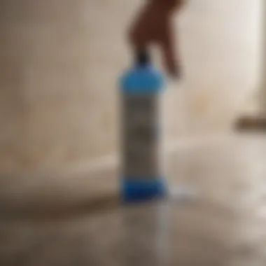 DIY grout cleaning solution in a spray bottle