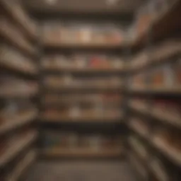 A beautifully organized pantry showcasing neatly arranged canned goods with labels for easy access