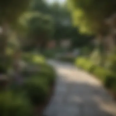 Serene Outdoor Space with Shrubbery Design A serene outdoor space designed with strategically placed shrubbery for visual appeal