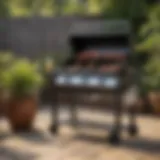 Elegant design and sleek finish of a top-rated gas grill