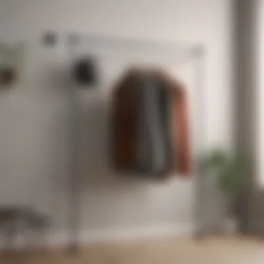 Minimalistic Wall-Mounted Clothing Rack Stylish wall-mounted clothing rack with a minimalistic design