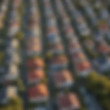 Diversity of Painted Houses in Community Settings Aerial view of a neighborhood with diverse painted houses
