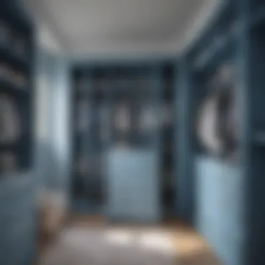 Serene Blue Elegance in Closet Design Elegant closet showcasing a serene blue color scheme