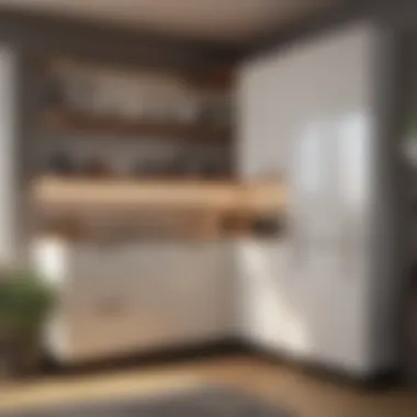 Elegant Corner Cupboard Elegant corner cupboard showcasing stylish design and functionality in a modern kitchen