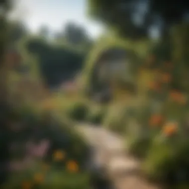 Bee-Friendly Garden Design A garden designed with a variety of bee-friendly plants