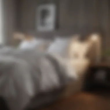 A serene bedroom setup highlighting stylish bedding