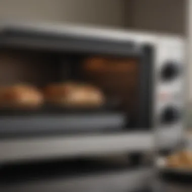 Assorted dishes prepared in a Cuisinart toaster oven, highlighting versatility