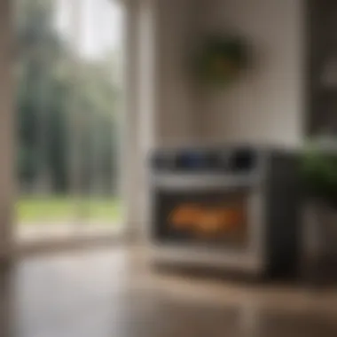 Maintenance Tips for French Door Air Fryers Maintenance tips displayed alongside a French door air fryer