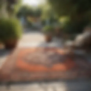 A comparison of light and dark colored outdoor rugs in a garden setting
