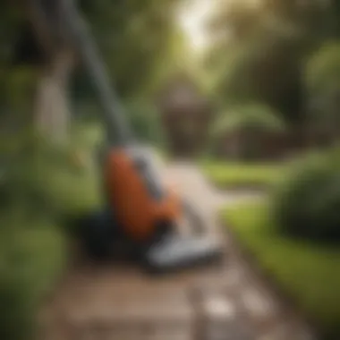 Vacuum cleaner with outdoor attachment in a garden setting