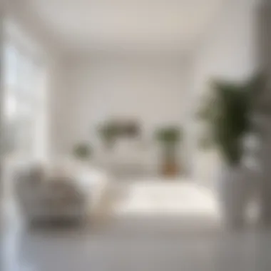 The Impact of Natural Light on White Interiors Natural lighting illuminating a white-painted room